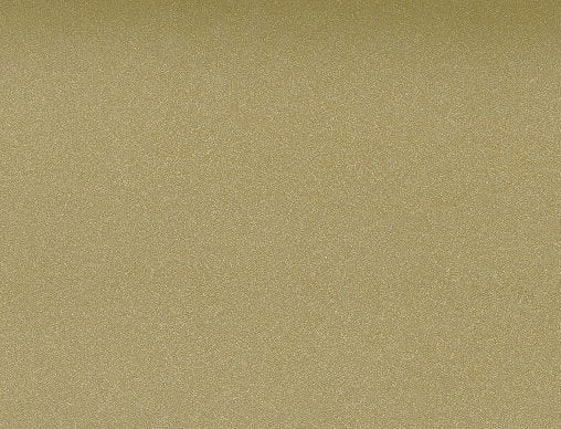 Car color champagne