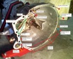 trans - BOLTS - 1.jpg