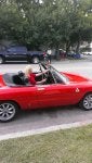 alfa gelato 8.jpg