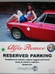 Unauthorized Parking Girl.jpg