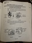 88894CCA-36D9-4A42-904E-C9D6E1998C0F.jpeg
